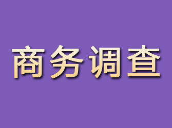 修武商务调查